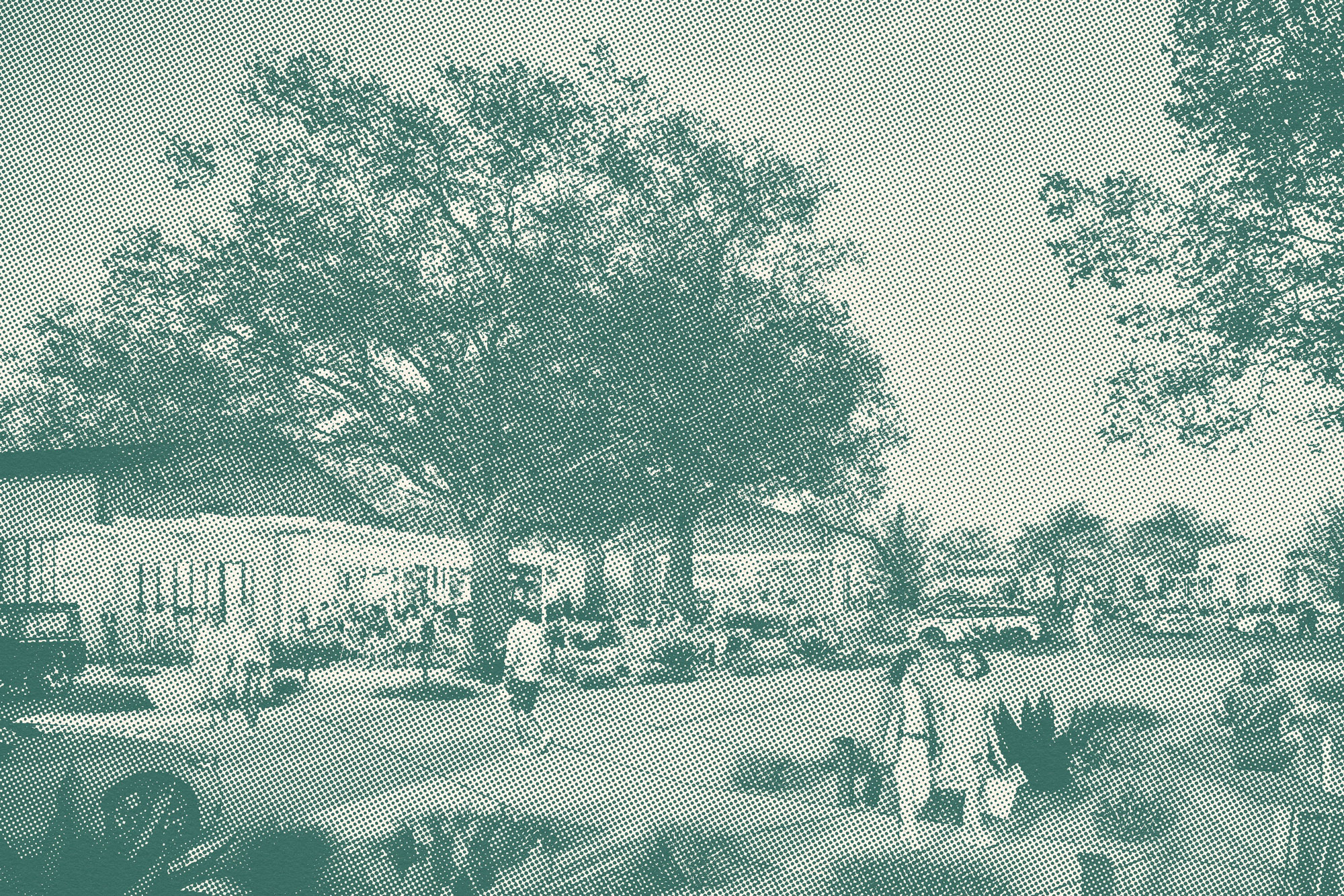 Halftone image of a street scene with large trees, people walking, parked cars, and buildings.