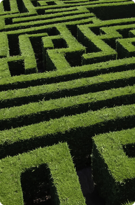 Green hedge maze