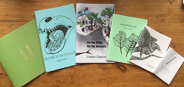 Seven different chapbooks by Conyer Clayton displayed on a wooden table.