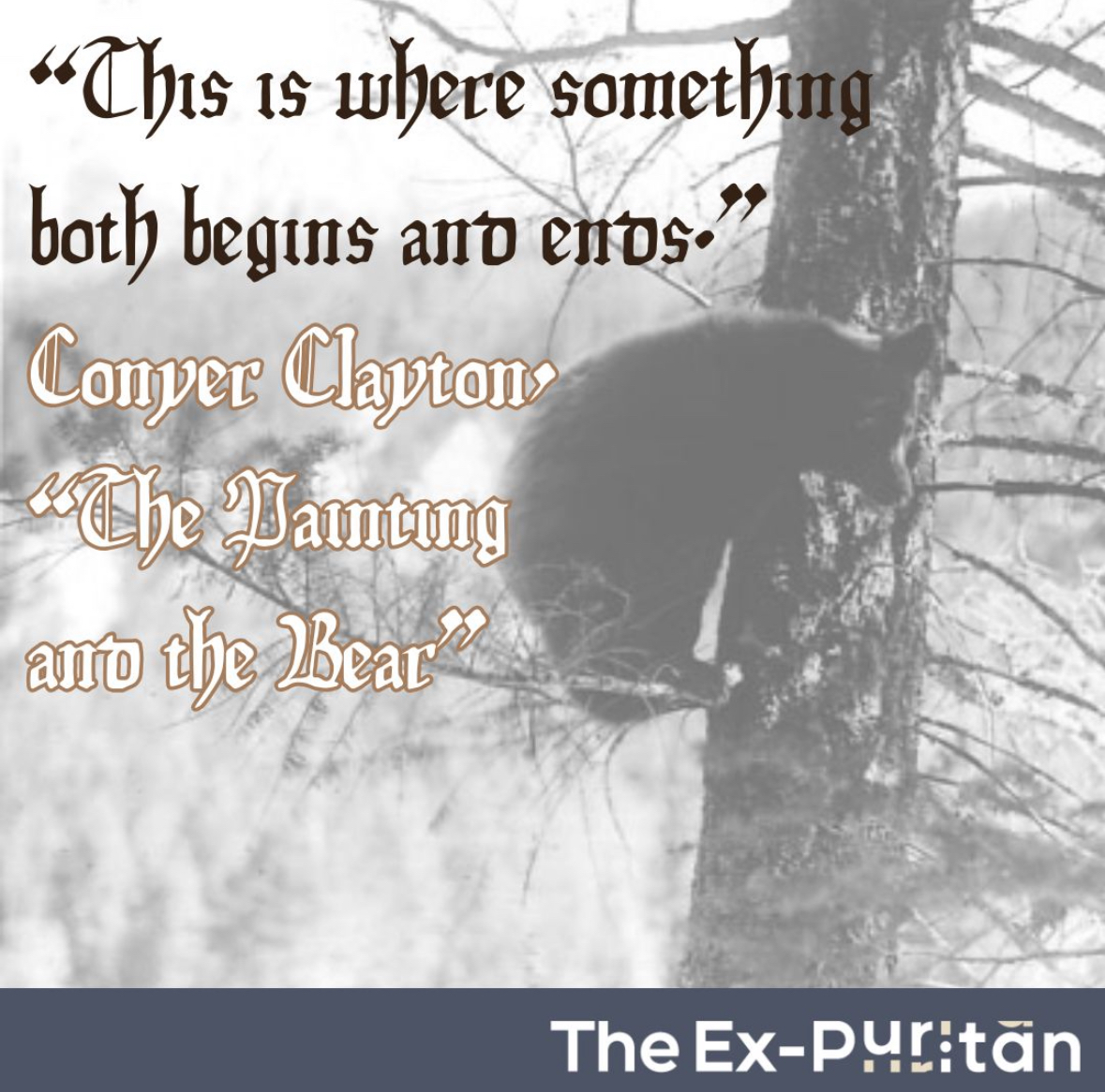 A black and white photo of a black bear in a tree, with text over top that reads "'This is where something both begins and ends.'Conyer Clayton. 'The Painting and the Bear' The Ex-Puritan"