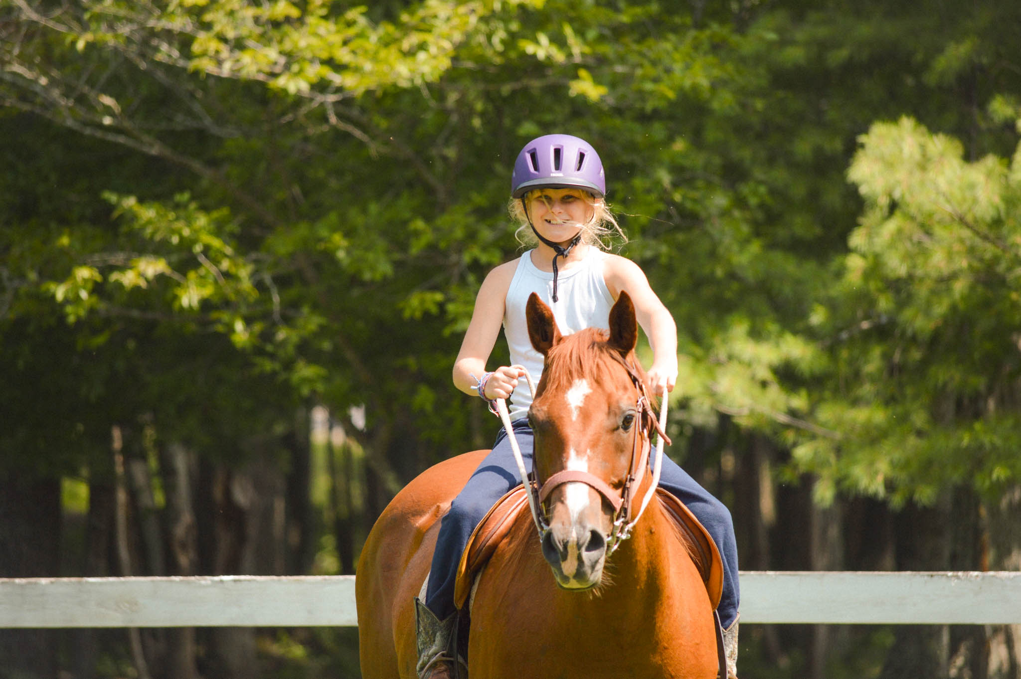 Horseback Riding