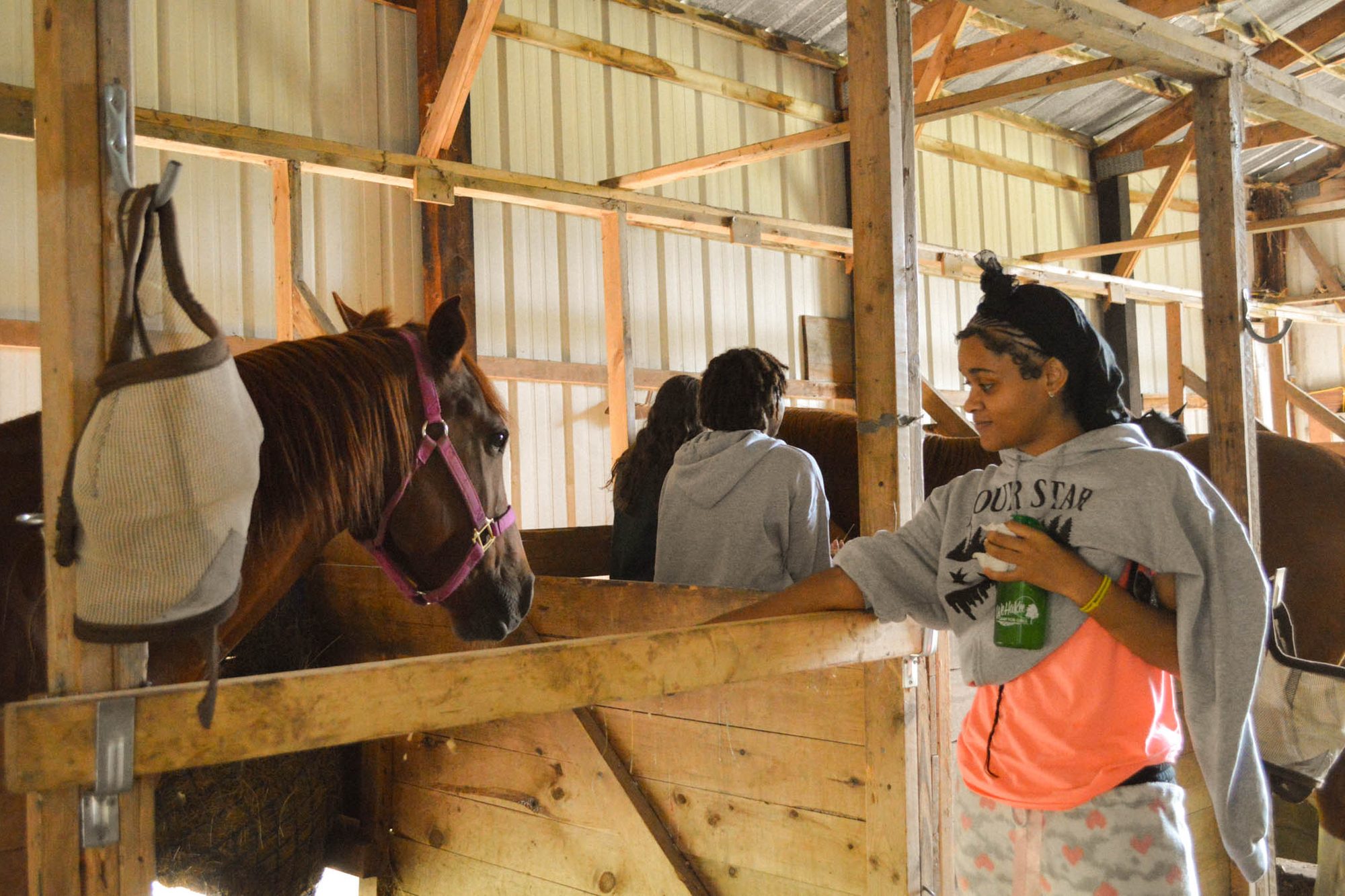 Camp WeHaKee's Immunization Recommendations
