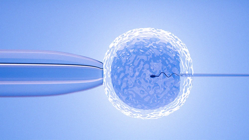 stylized image of needle injecting egg with sperm