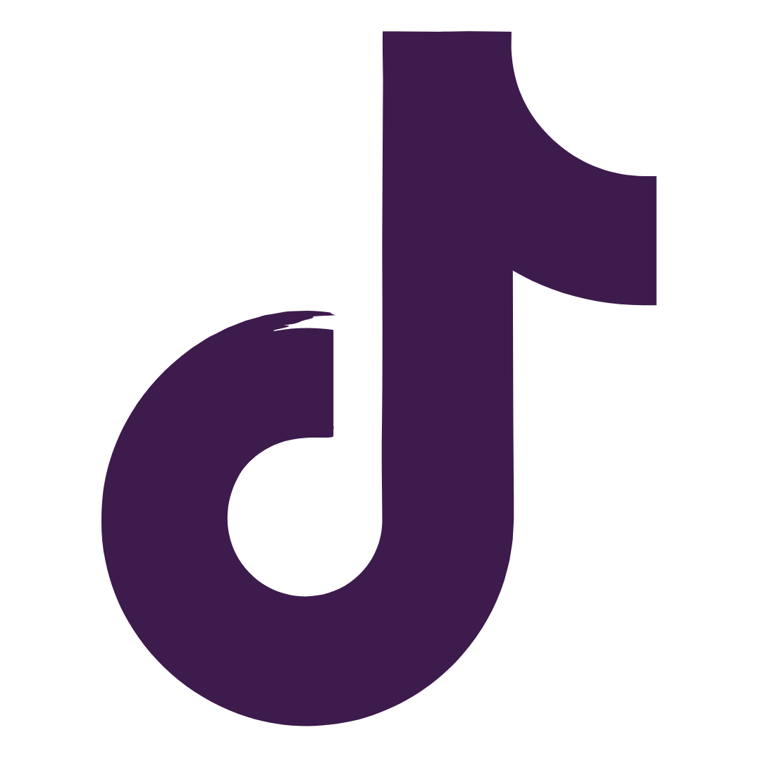 TikTok Icon