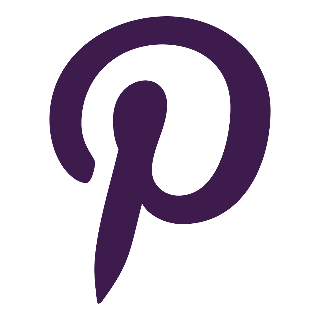 TikTok Icon