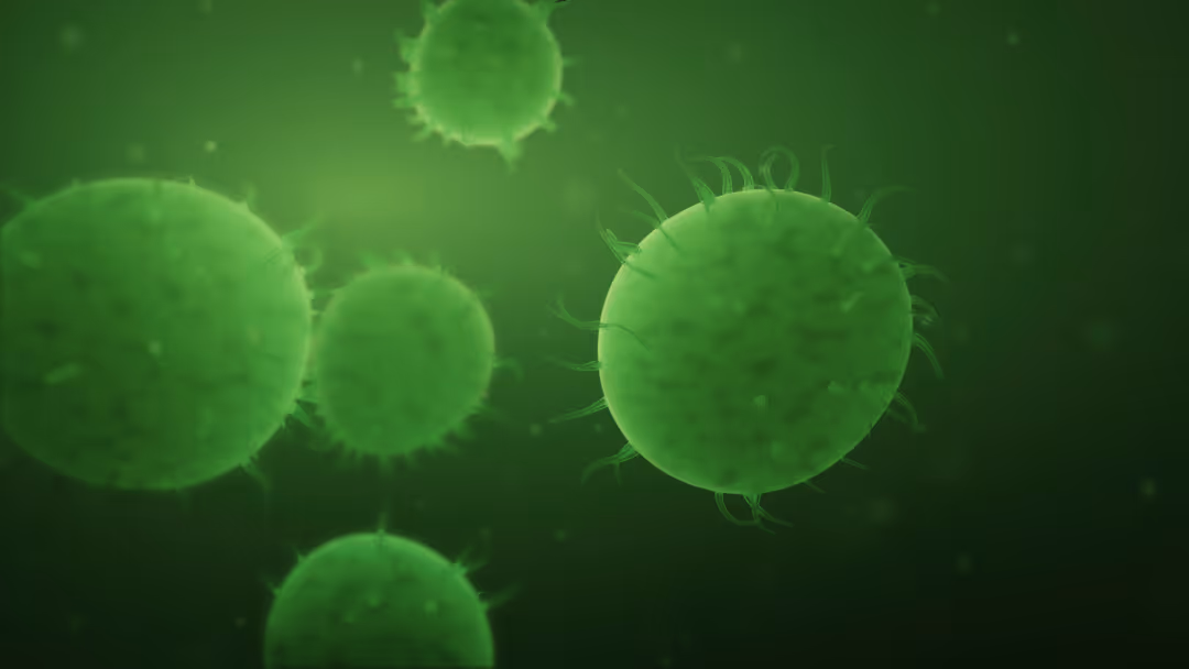 CGI of microscopic cells with cilia-like appendages, colored green