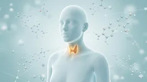 cgi person with their thyroid highlighted and chemical symbols in the background