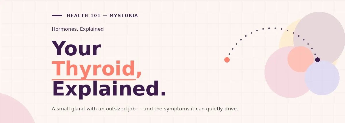 Hormones, Explained. Your Thyroid, Explained. A small gland with an outsized job — and the symptoms it can quietly drive.