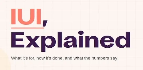 IUI, Explained. What it's for, how it's done, and what the numbers say.