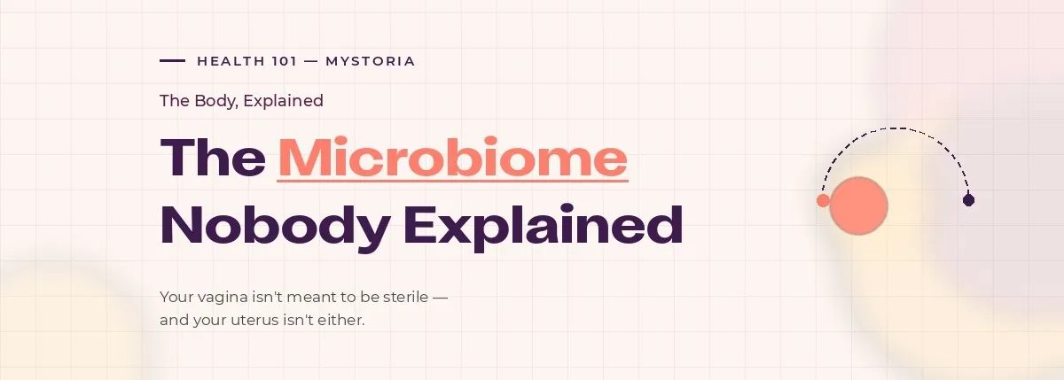 The microbiome nobody explained. Your vagina isn't meant to be sterile — and your uterus isn't either.