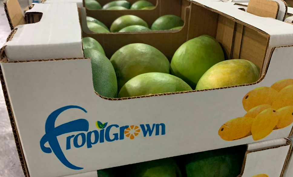 TropiGrown packing facility