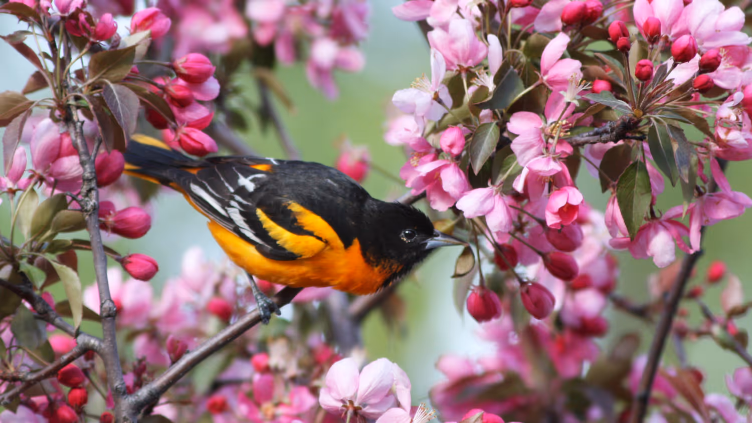 Submit Your Photo for Our Annual Calendar
