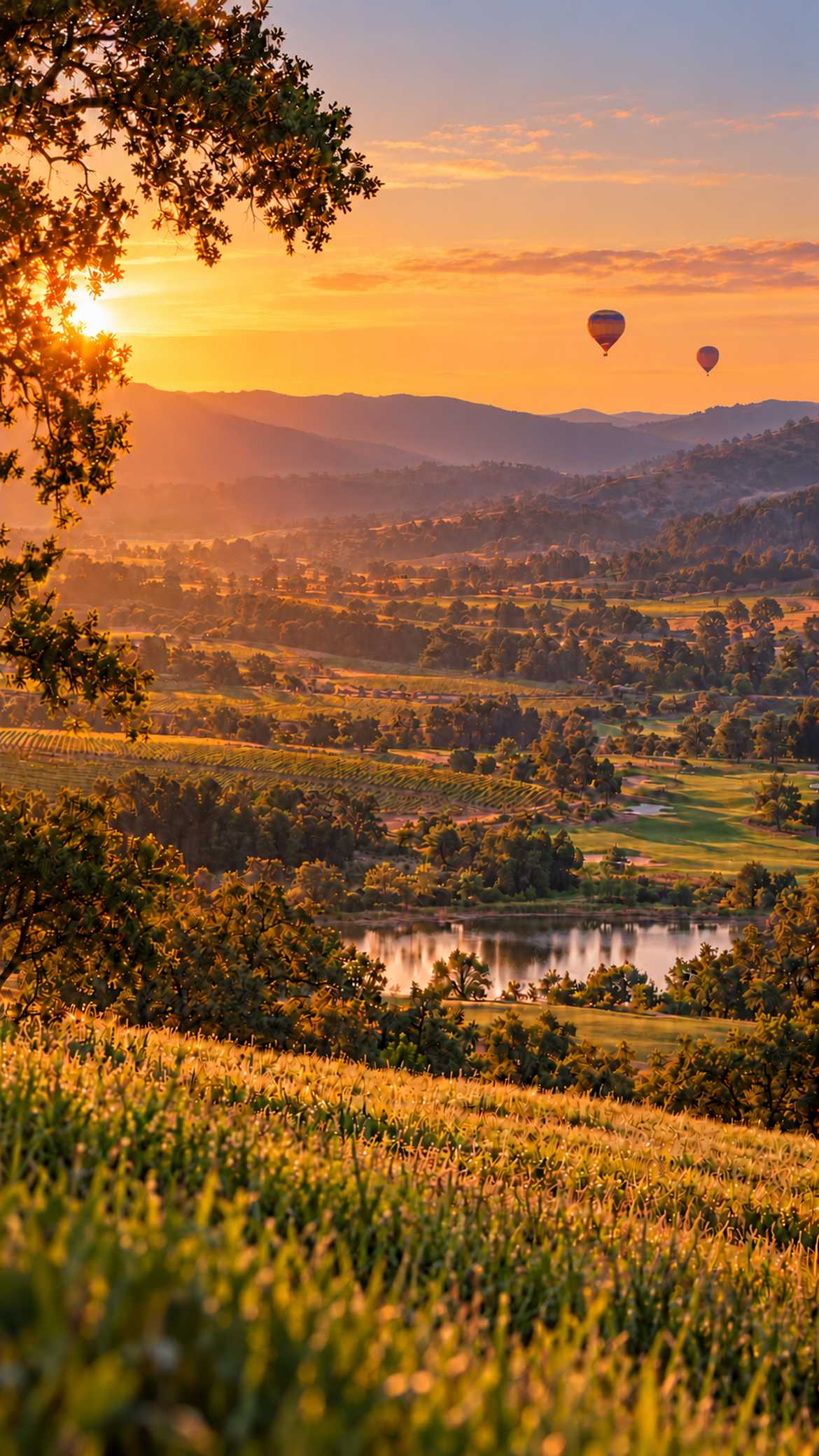 Offsite, Elevated: Santa Rosa and Bennett Valley