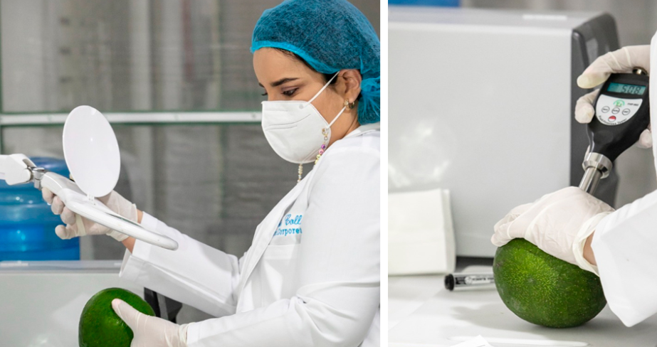 TropiGrown quality control laboratory