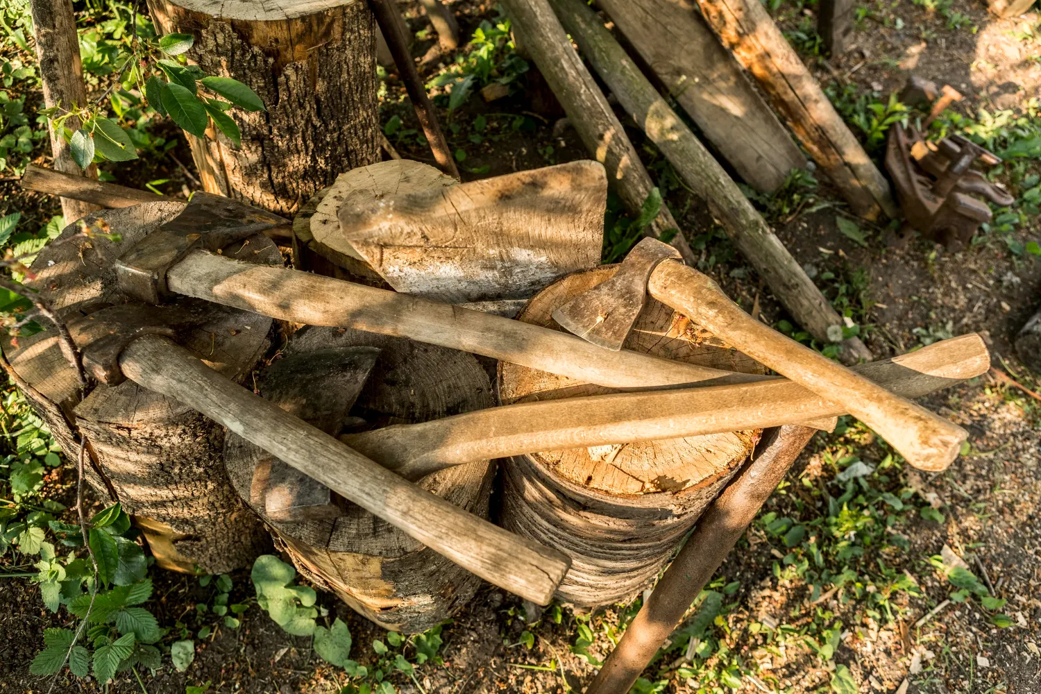 Three axes with wooden handles resting on stacked tree stump rounds in a garden setting.