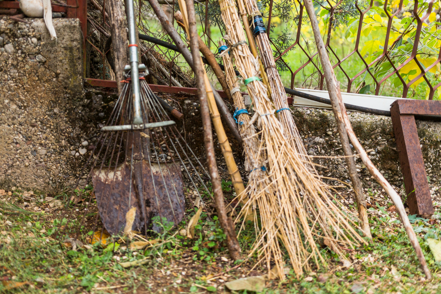 White bucket truck with an elevated empty bucket near tree branches over a shed roof.