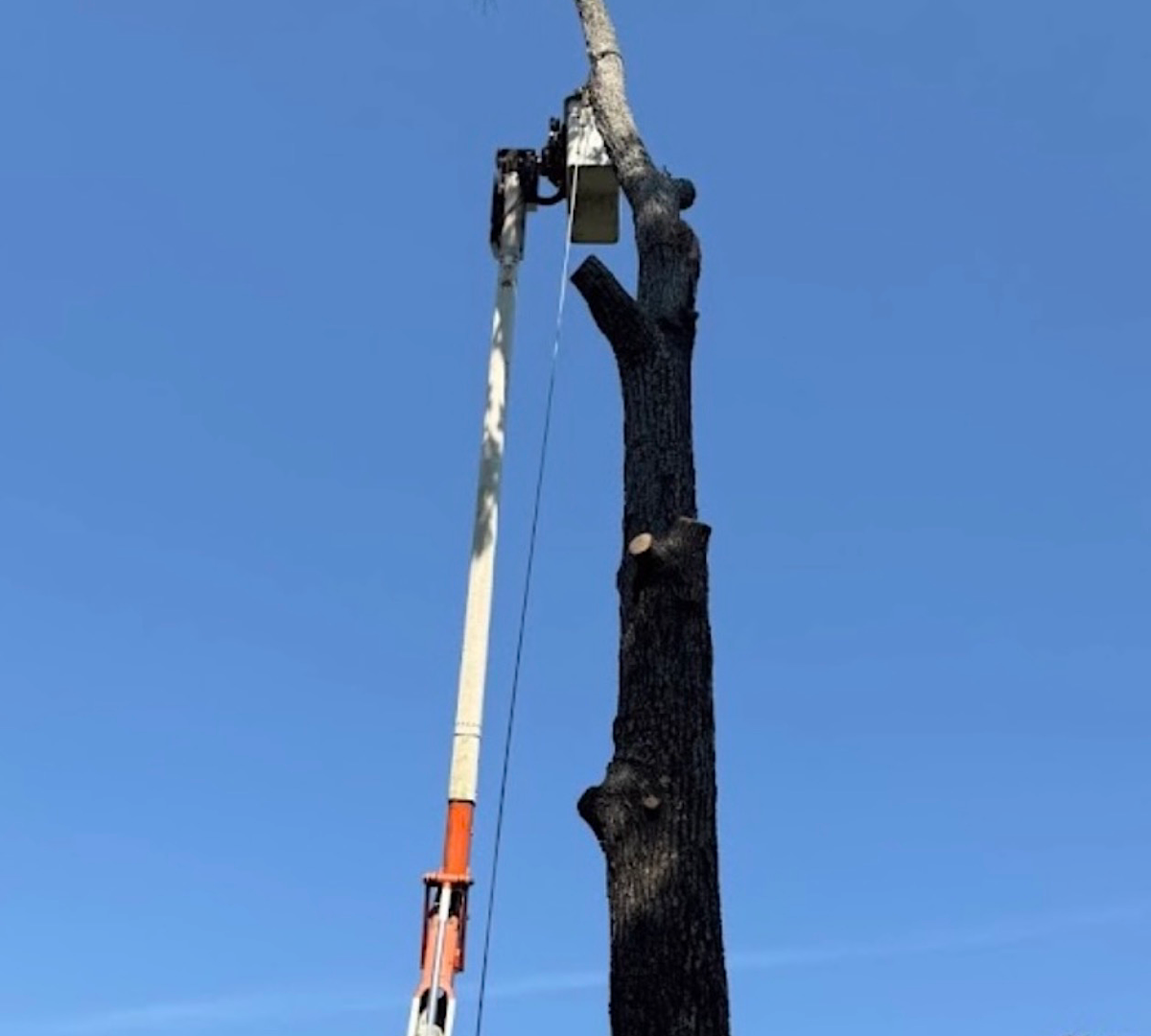 Two construction workers in yellow helmets standing near a large window inside a room under renovation with sunlight streaming through.