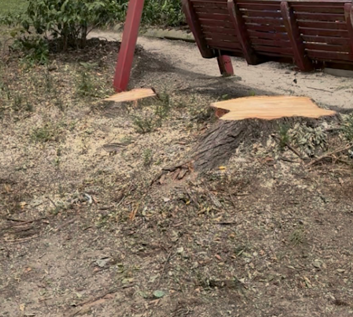 Person holding an axe poised above a log on a chopping block with a pile of split firewood in the background.