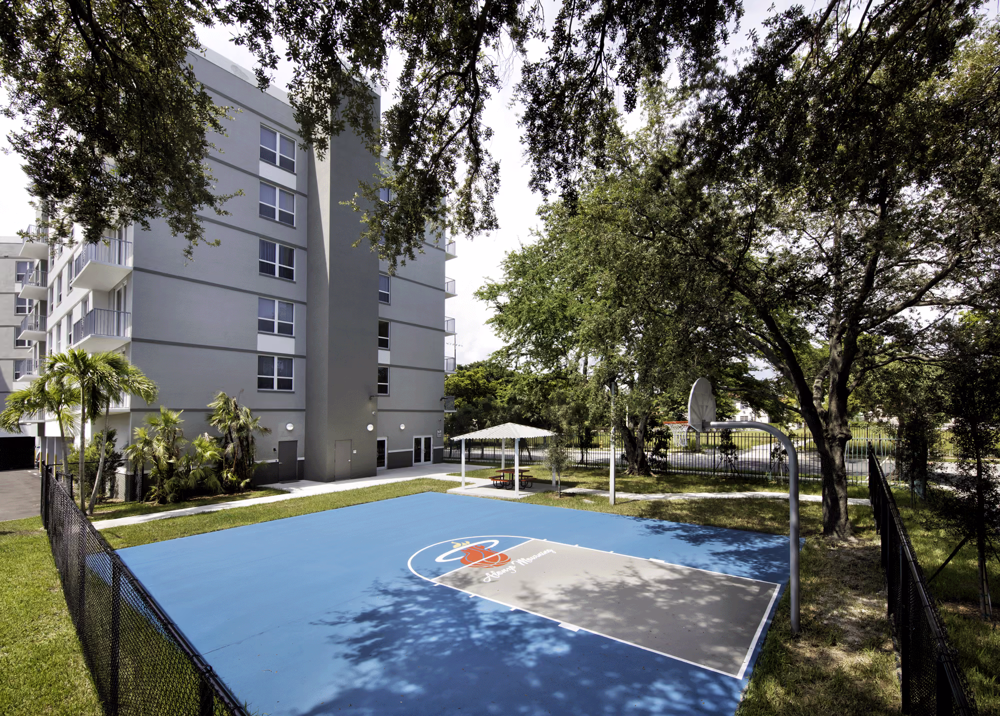 Basketball court