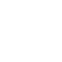 ALem Lifting Standards
