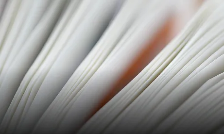 forged or missing disclosures