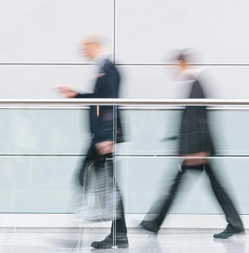 business litigations