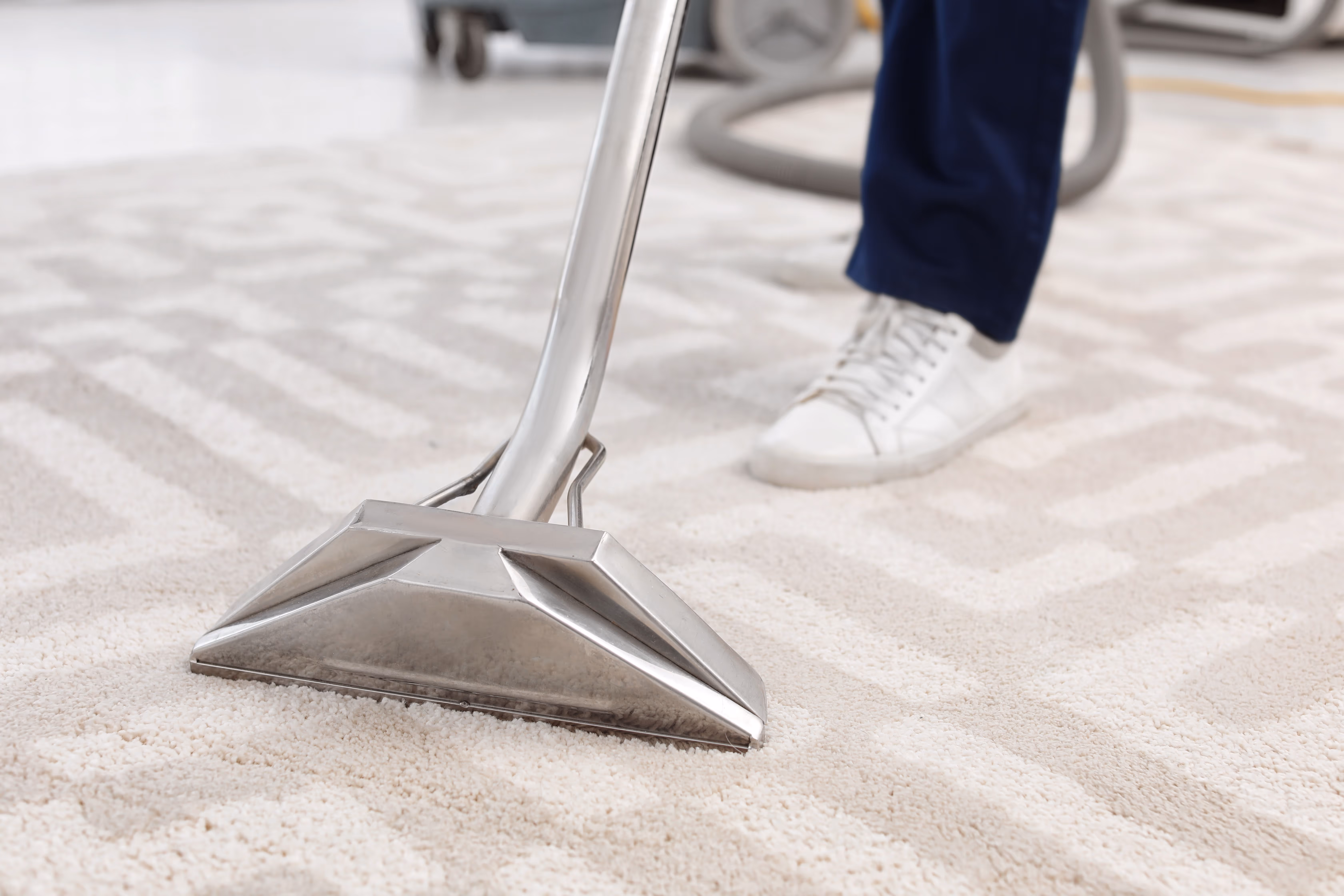 Professional carpet cleaning machine removing stains in a Sunnyvale home
