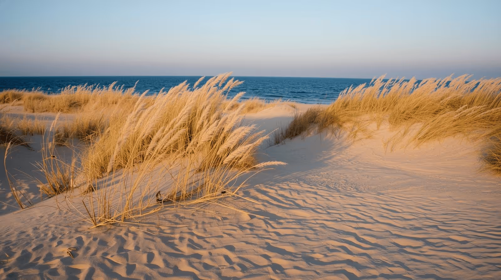 Inspirierende Strandlandschaft mit Dünen und Meer als Symbol als Arbeitsplatz für Website Design durch Freelancer