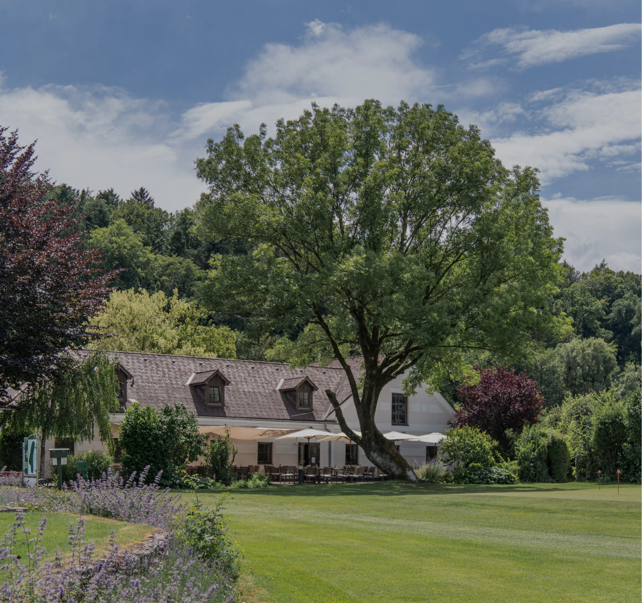 A statue of a mermaid in a garden