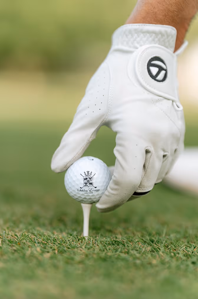 A close up of a white rose