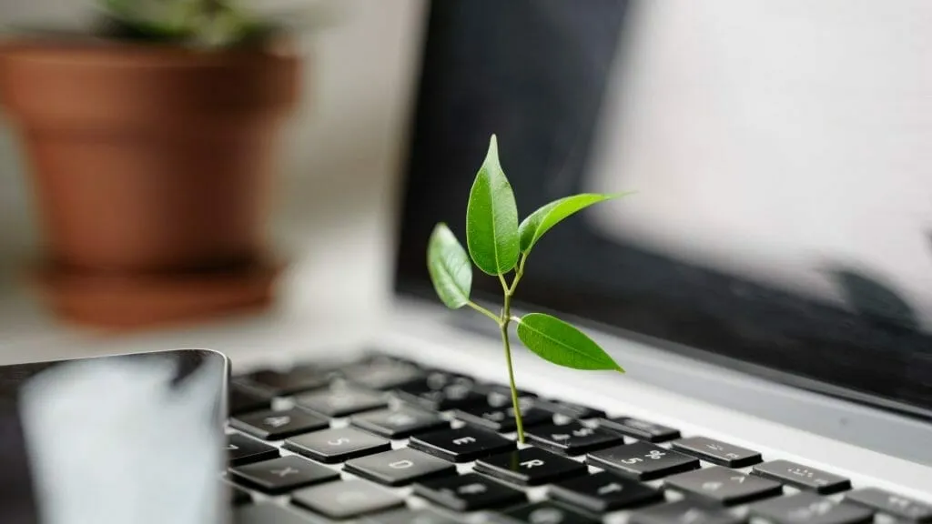 green product development