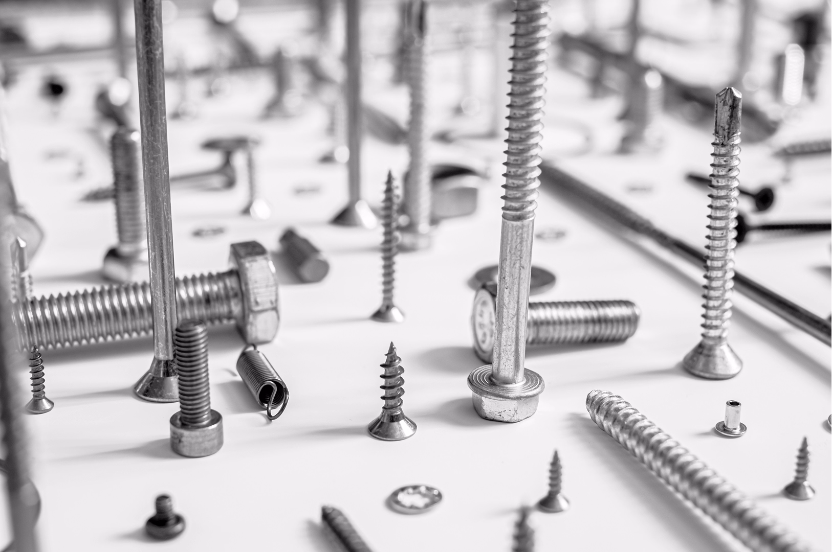 Jak e-commerce Polberis uporządkował obsługę klienta z pomocą monday service i AI