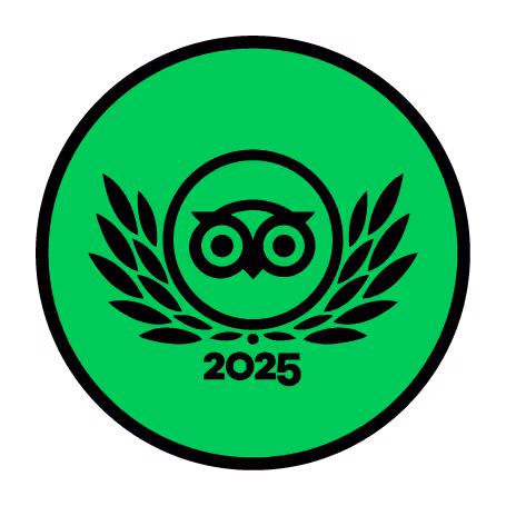 Simbolo nero di un gufo stilizzato con rami di alloro e l'anno 2025 su sfondo verde.