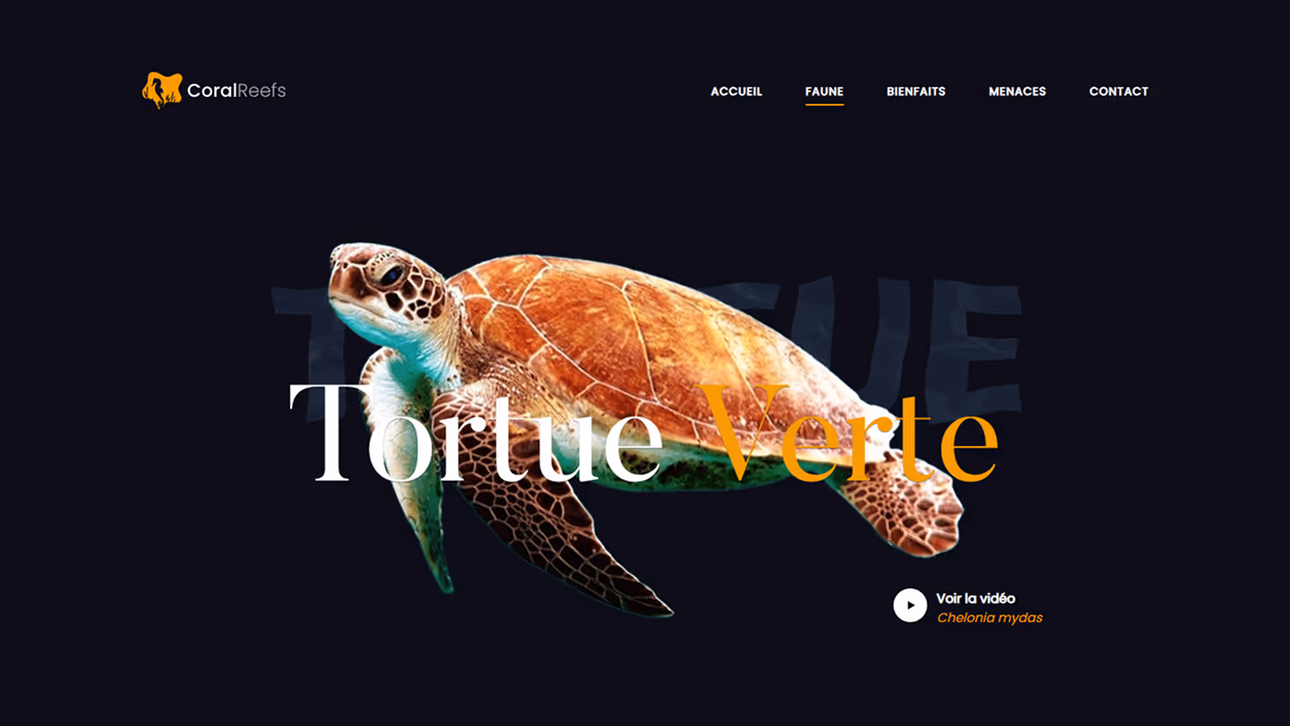 Banner - CoralReefs
