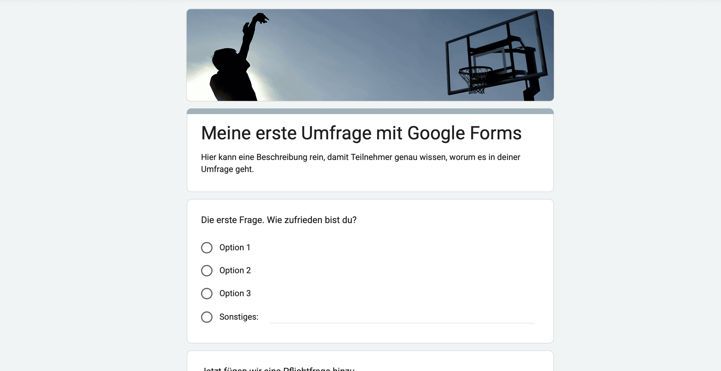 So sieht eine Umfrage mit Google Forms aus