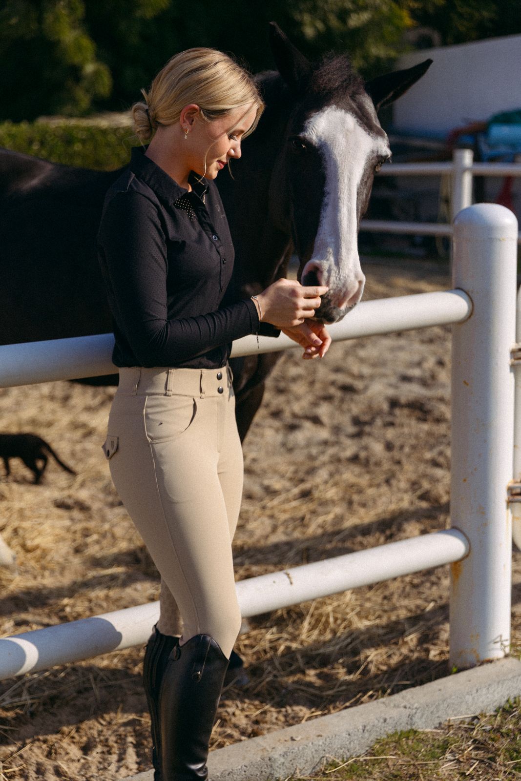 Summer Collections Img