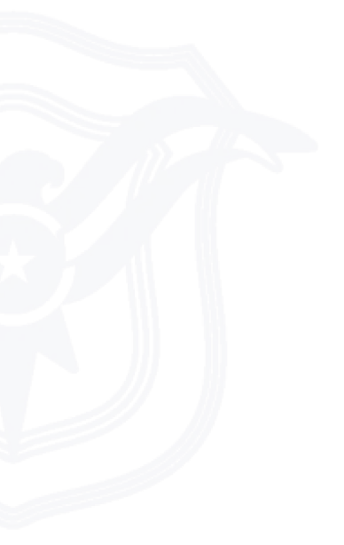 Blue abstract emblem resembling a stylized bird with wings wrapped around a circular shape containing a star.