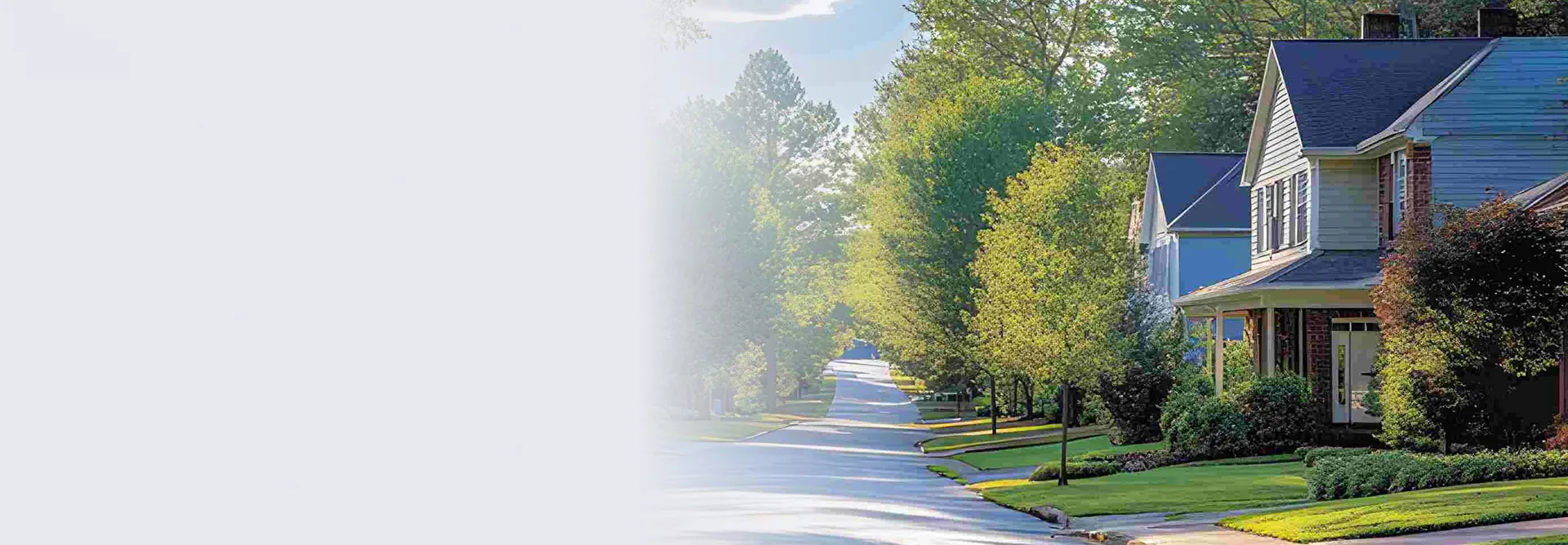 Residential street lined with trees and houses featuring green lawns under daylight.