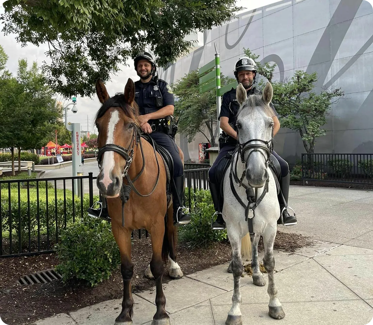 Two mounted police officers on horses standing on a sidewalk with greenery and a building in the background.
