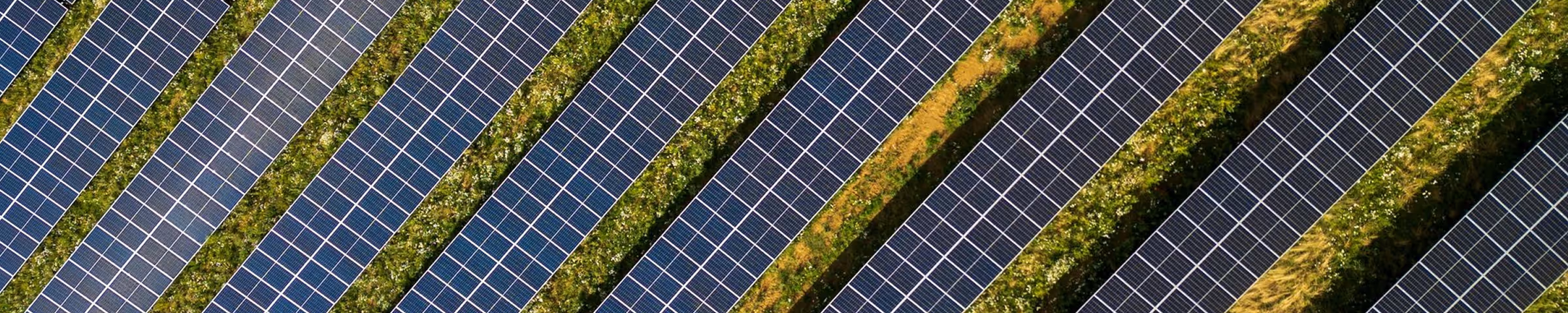 Aerial view of rows of solar panels installed on grassy land with green vegetation between them.