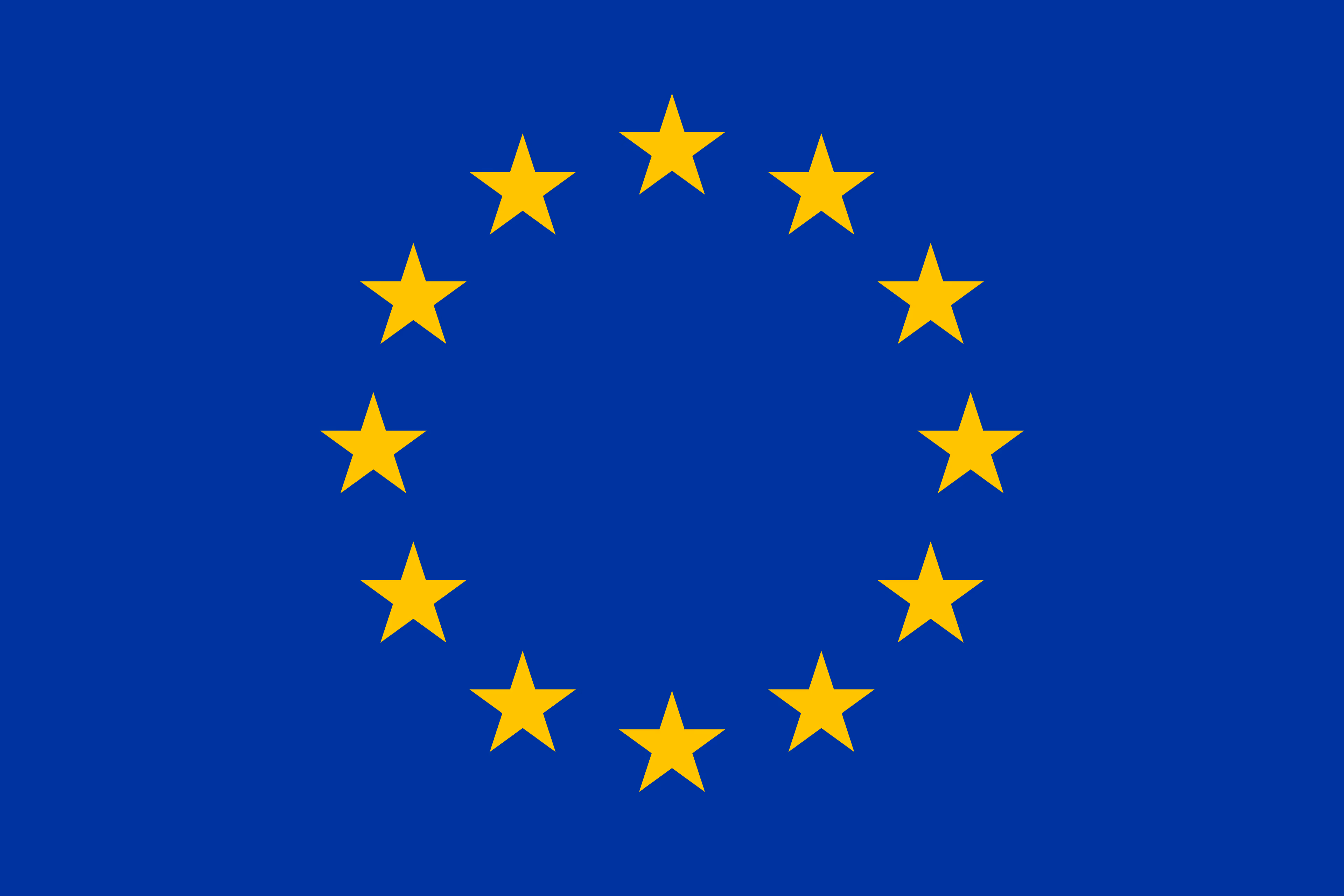 Blue flag with a circle of twelve yellow stars representing the European Union.