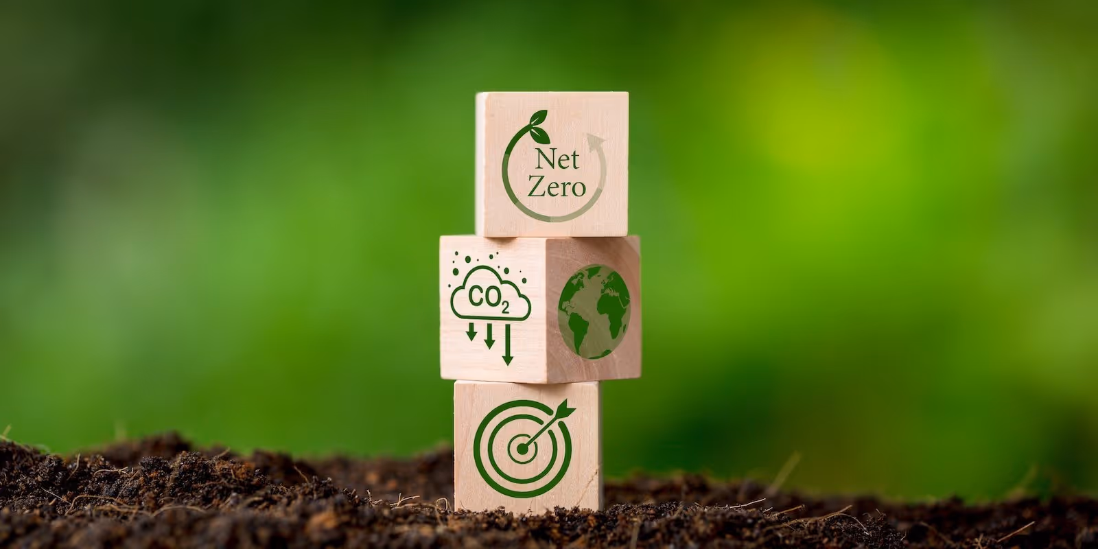 Net Zero carbon illustration