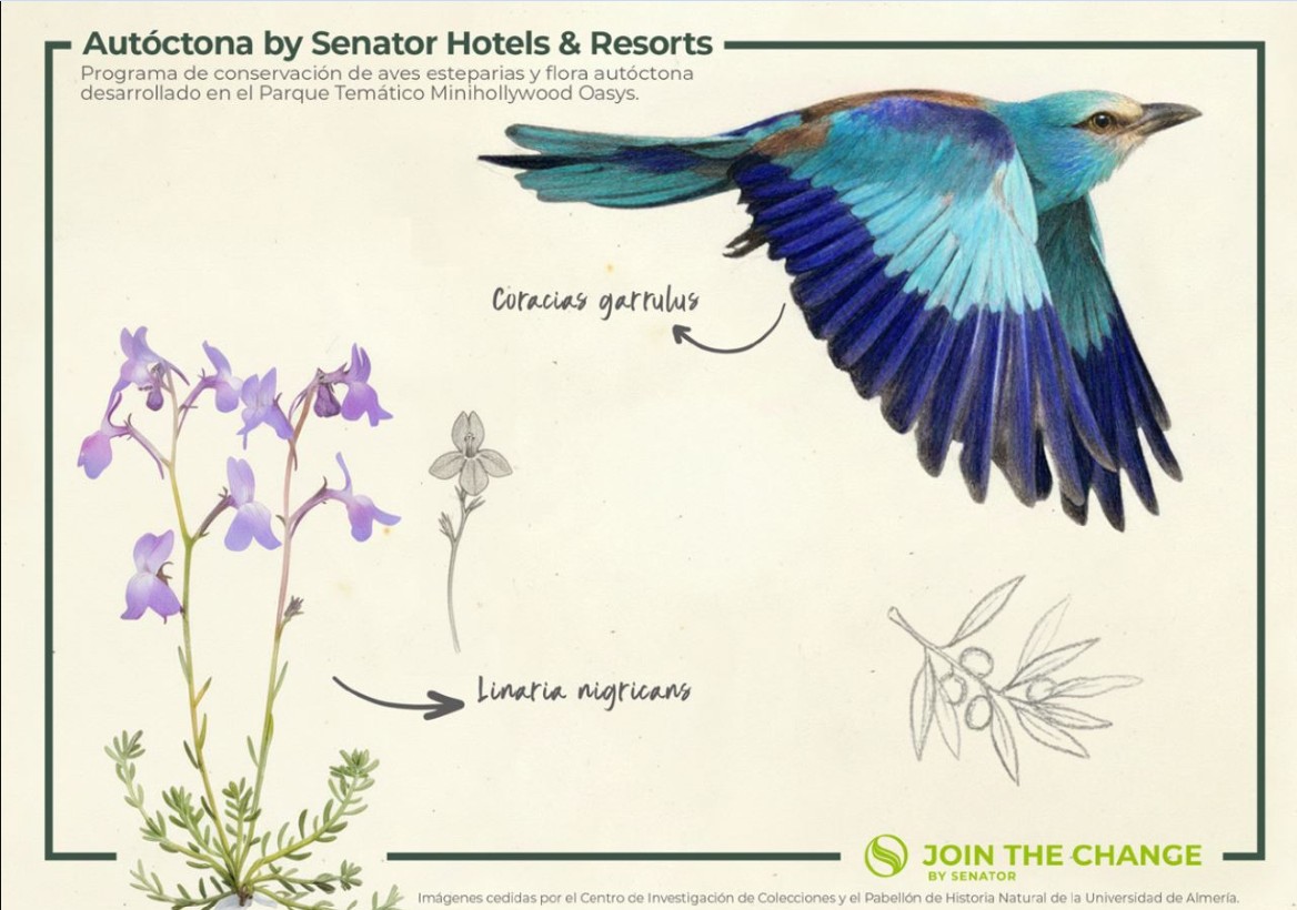 Directory Cover