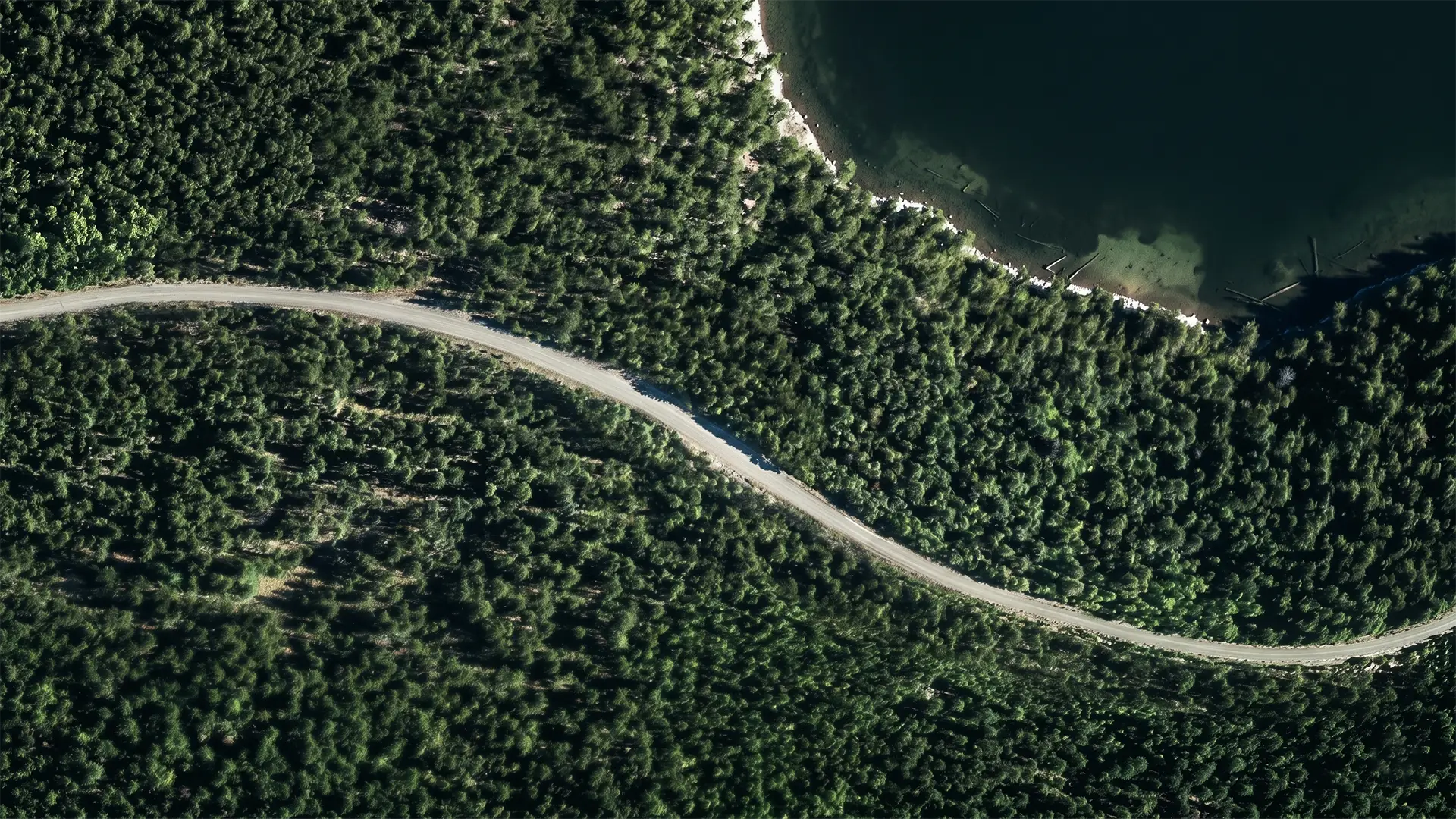 Spot televisión para CUPRA  Ateca 'Create your own path', 2019