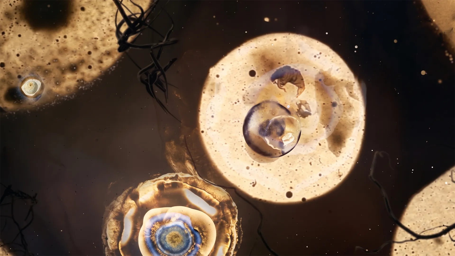 Videoclip para Nach 'Leyenda', 2015