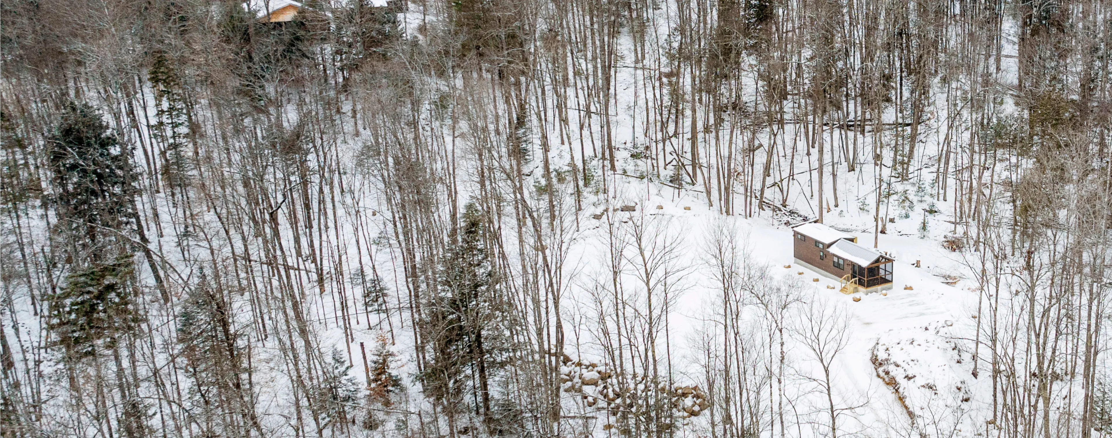 A solitary cabin surrounded by snow-covered ground and leafless trees in a dense forest during winter.