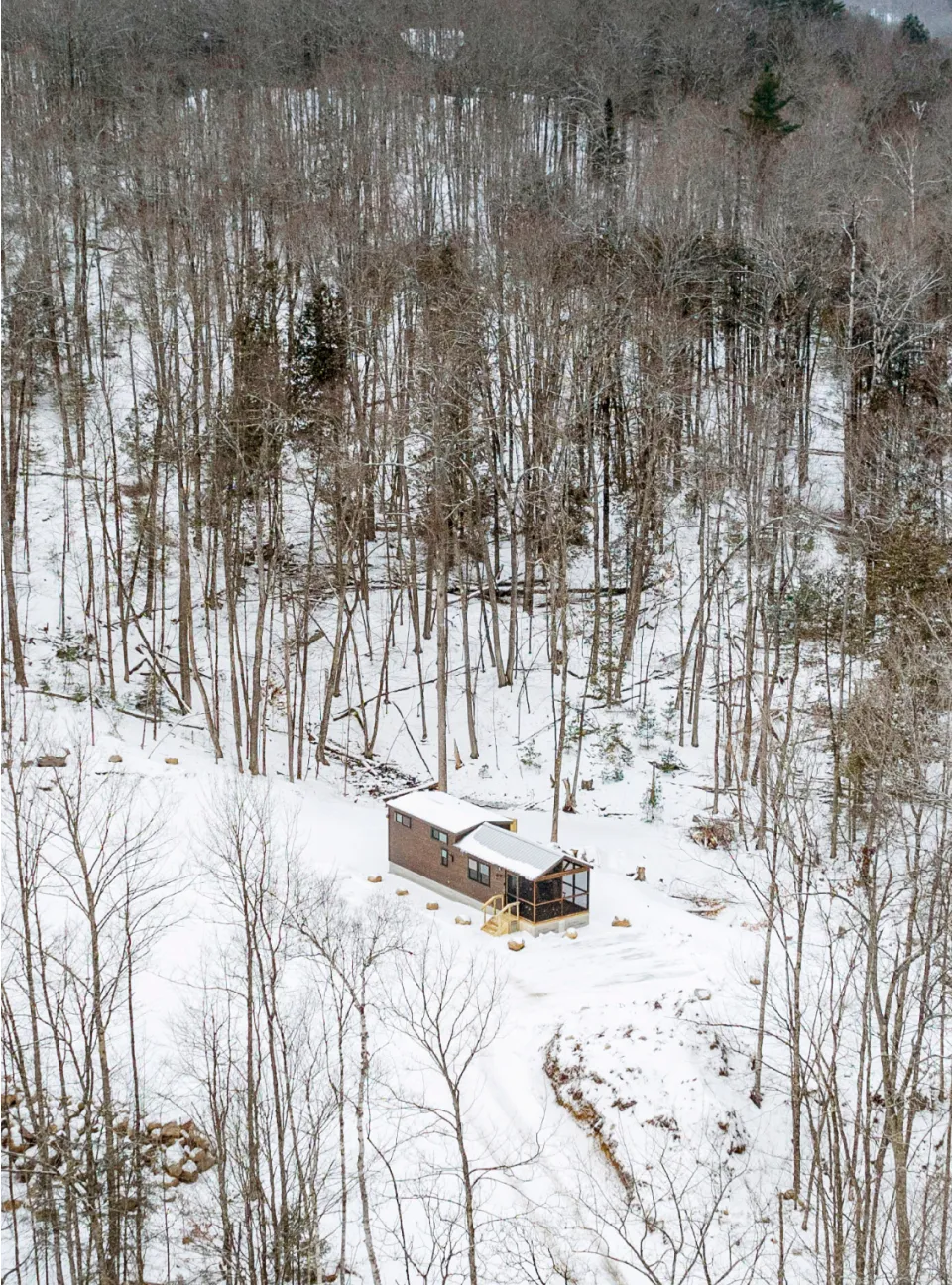 A solitary cabin surrounded by snow-covered ground and leafless trees in a dense forest during winter.