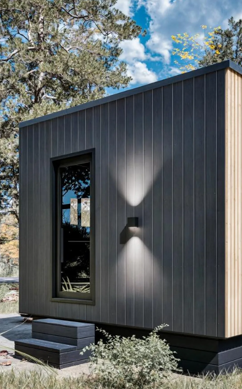 Modern cabin with wood paneling and a single window, set in a forested area with plants and trees.