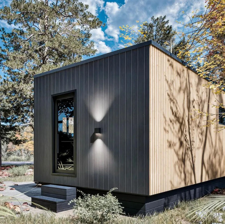 The Vista cabin with dark vertical siding and a wooden accent wall, featuring a glass door and an exterior wall lamp.