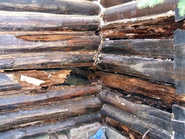 Corner of a log cabin with several logs showing severe rot and decay, exposing the interior and damaged wood.